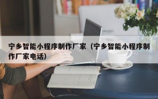 永州宁乡智能小程序制作厂家（宁乡智能小程序制作厂家电话）