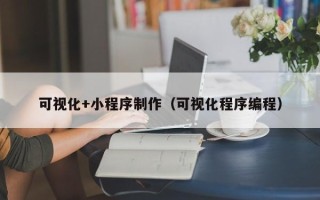 永州可视化+小程序制作（可视化程序编程）